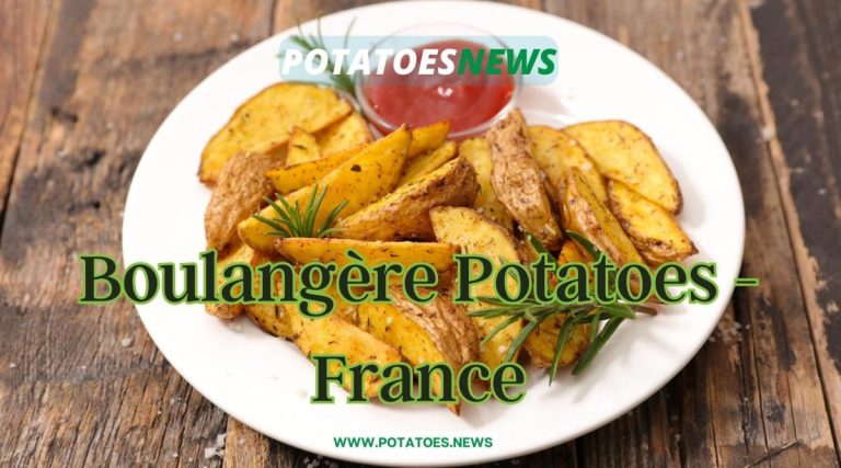 Popular Potato Based 1800 × 1000 пикс. 22