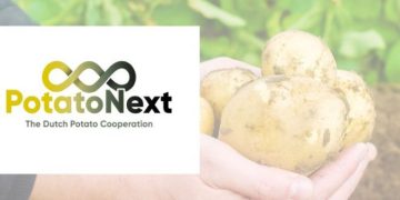 Cultivating Unity: PotatoNext Revolutionizes the Potato Sector