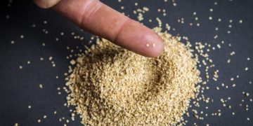 “AvaGrow Demonstrates Success with Hybrid True Potato Seed (HTPS) in Boosting Potato Farming in Namibia”