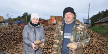 Revolutionizing Potato Farming: Success Story of Mikhail Rublyov, the Potato Yield Champion in Bryansk Oblast