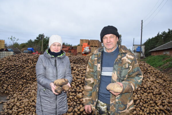Revolutionizing Potato Farming: Success Story of Mikhail Rublyov, the Potato Yield Champion in Bryansk Oblast