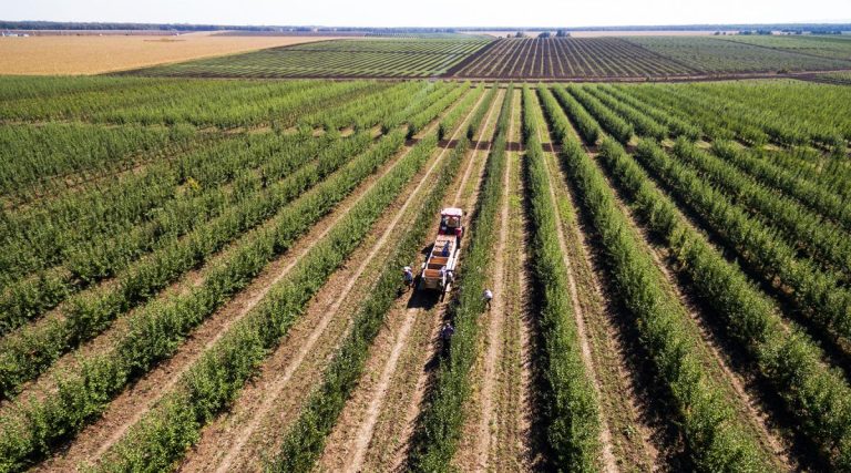Kazakhstan describiu xeitos de resolver os problemas no campo da produción de sementes 40 Kazakhstan describiu formas de resolver os problemas no campo da produción de sementes