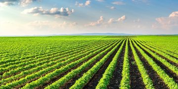 PepsiCo’s PAO Accelerator: Cultivating a Regenerative Future for Global Agriculture