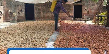 Latest Field Activities Update: Potato Planting in Northern India by Rahul Basuta, Deputy Manager at MAHINDRA HZPC PRIVATE LIMITED