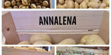 Successful success of Open Days 2023 at Ten Brinke in Holland: huge number of visitors, impressive meetings with clients and a great dinner with partners, clients and friends.