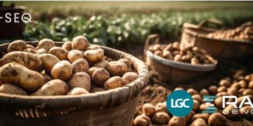 An innovative approach to combating potato diseases and a new genotyping platform FLEX-Seq