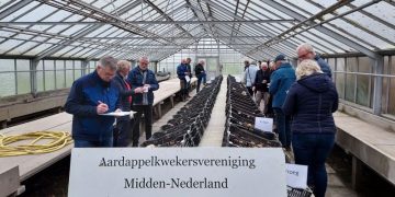 Results of the annual inspection of young potato varieties within the framework of the Bioimpuls project