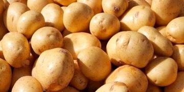 Potential of Pakistani Potatoes: Improved Exports and Modern Techniques