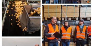 Erfolgreiche DKHV-Weiterbildung zur Fachkraft Kartoffel bei Friweika eG: Einblicke in Ernte, Lagerung und Vermarktung