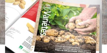 DESMAZIÈRES presents its catalog of potato varieties for 2023/2024!