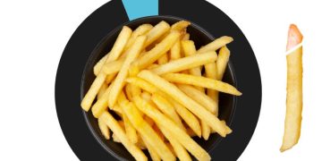 The influence of oil content on the quality and cost of the product: an important parameter that you should know about