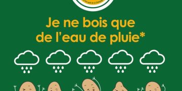 La Champenoise transforms itself and introduces a new line of potatoes D-pack 2kg, 100% rain water