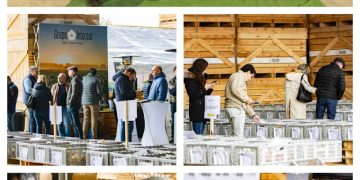 Successful holding of AGROMAR POTATO DAY: meeting of the Intersur group with manufacturers and clients