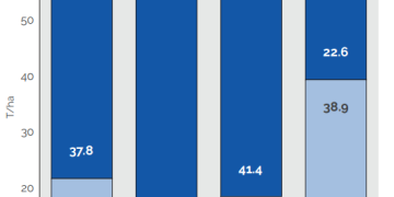 The Importance of Cover Cropping and Green Manures for Sustainable Crop Success