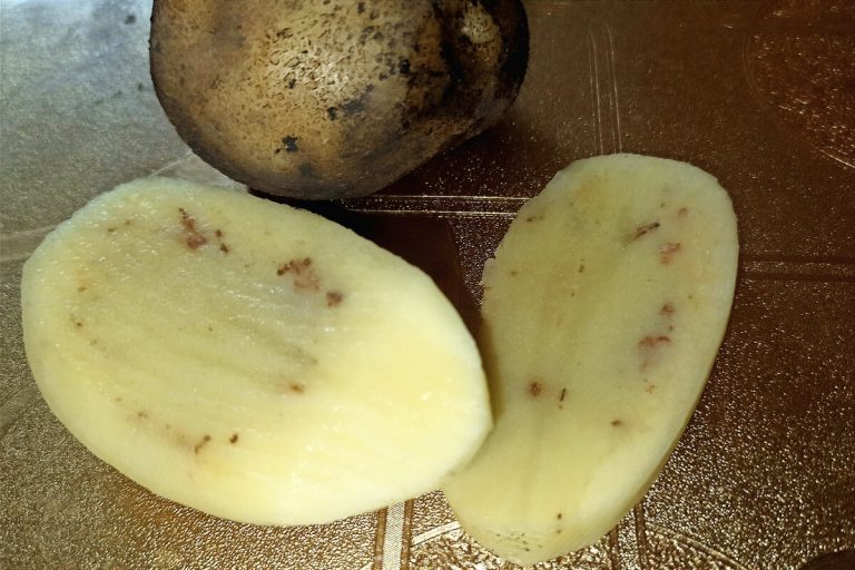 Calcium’s role in potato quality, production