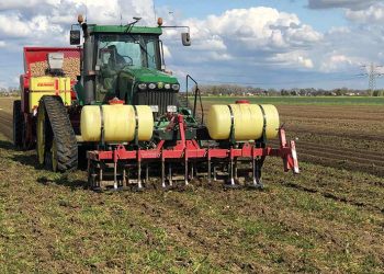 Cover crops and potatoes