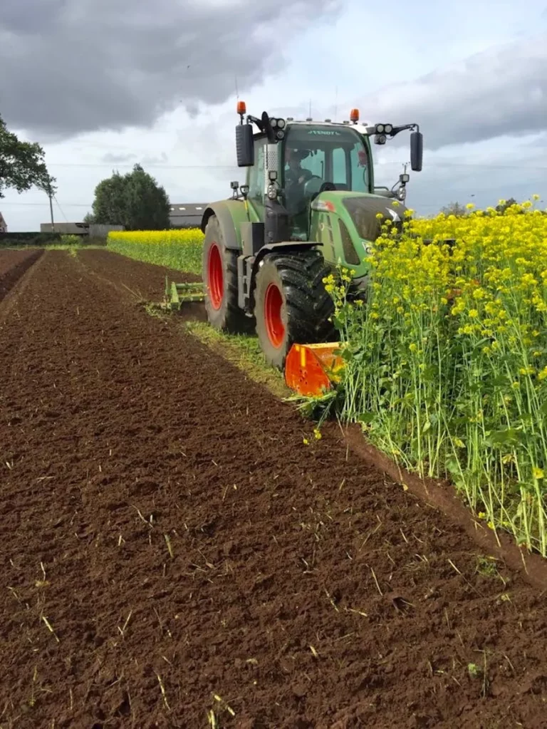 Cover crops for plant parasitic nematodes. Part 1 – Which species work?