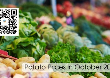 Potato Prices in October 2023