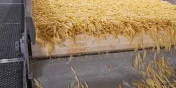 The Crispy Revelation: Unveiling the Journey of Chilled Fries