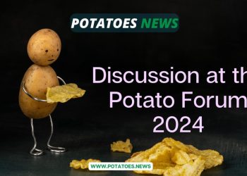 Discussion at the Potato Forum 2024