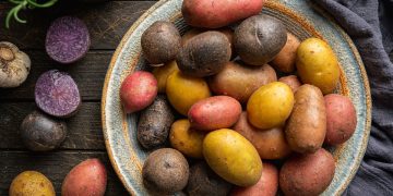 McCain’s Impact on Colombian Agriculture: A Journey of Innovation and Sustainability