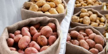 Quality Woes: The Impact of Climatic Challenges on Potato Prices in Brazil