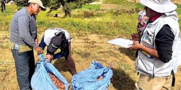 Revolutionizing Potato Farming in Bolivia: Cutting-Edge Korean Technology Transforms Agriculture