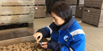 Title: Bridging Standards: Dutch Potato Certification Training in Kazakhstan