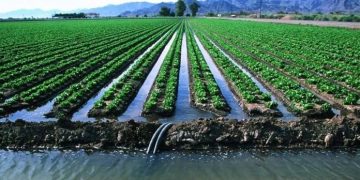 Revolutionizing Water Management: EABR’s Ten Steps for Sustainable Irrigation in Central Asia