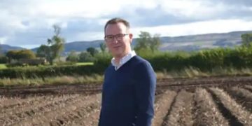 Government Policies and Potato Farming: Navigating Challenges for a Sustainable Future