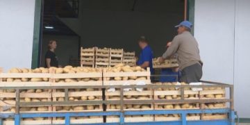 Albanian Agriculture: A Step Towards Development with 568 Million Lek Credit