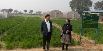 TERI’s Nano-Fertilizers Pave the Way for Sustainable Farming