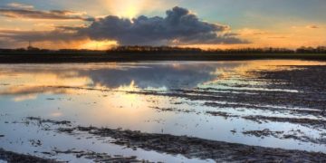Navigating Unprecedented Challenges: The Impact of Rainfall on Potato Harvests in Europe
