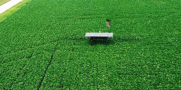 Solinftec’s Solix Robot Marks a Milestone in Sustainable Farming