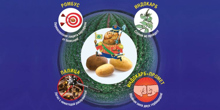 Revolutionizing Potato Protection: Cutting-Edge Solutions by Agrochem-XXI 14 Revolutionizing Potato Protection: Cutting-Edge Solutions by Agrochem-XXI