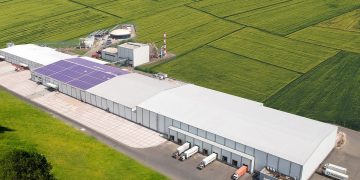 India’s Giant Leap in French Fries Production