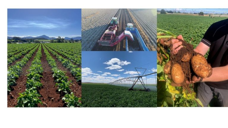 Potato Power 2024: Unveiling Innovations, Sustainability, and Global Impact at the 12th World Potato Congress 17 Potato Power 2024: Unveiling Innovations, Sustainability, and Global Impact at the 12th World Potato Congress