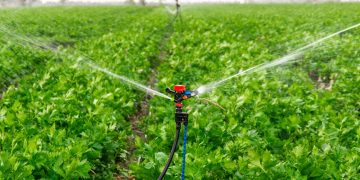Revolutionizing Crop Cultivation: Innovative Irrigation Solutions for Optimal Yields