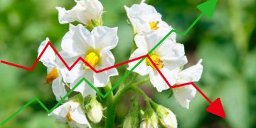 Global Potato Prices: A Comprehensive Analysis of the Spud Market Across 80 Countries