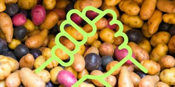 Annual fundraiser in support of the POTATOES NEWS project