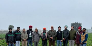 Expert Meeting at Harinder Farms: Visit of Dr. RK Arora to the Harindra Agrotech Seed Preparation Center