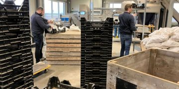 Innovative Quality Control Methods: Meijer Potato Introduces Thermal Boxes for Testing Seed Potatoes