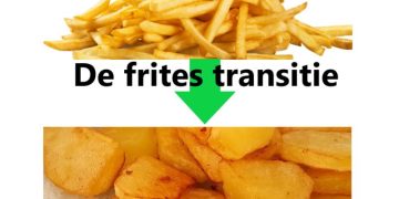 Revolutionizing the Fries Industry: Embracing Round (Bio)Fries for a Sustainable Tomorrow