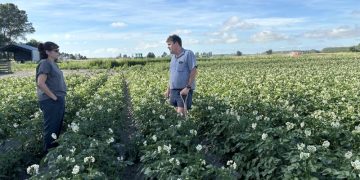 Insights from Potatoes New Zealand’s Executive Director