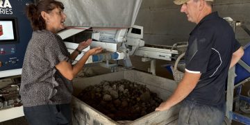 Revolutionizing Potato Farming: A Deep Dive into Taylor Farms’ Innovative Practices