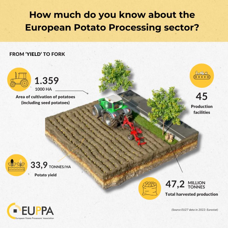 À la découverte de l’industrie européenne de transformation de la pomme de terre en plein essor