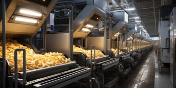 Potato Processing Market: Booming Growth and Innovation