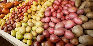 Navigating Potato Prices: The Urgent Call for a 10% Increase in Contract Prices