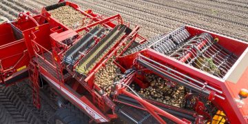 The power of technology and crop rotation are two components of potato success.