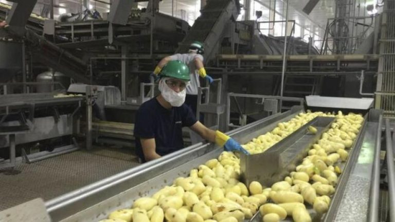 Agroindustria
